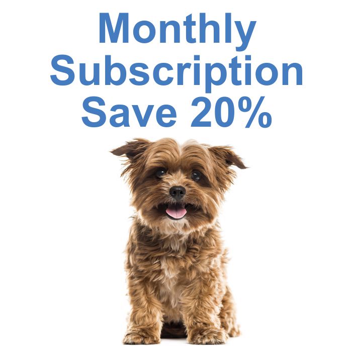 300mg CBD Oil for Pets