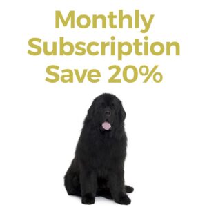 X-Large Dog Monthly CBD Oil Subscription