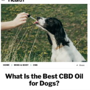 Image of "What is the Best CBD Oil for Dogs?" from Health.com