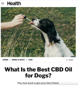 Image of "What is the Best CBD Oil for Dogs?" from Health.com