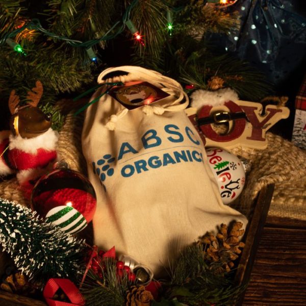 Holiday gift bag for cats & dogs from ABSC Organics