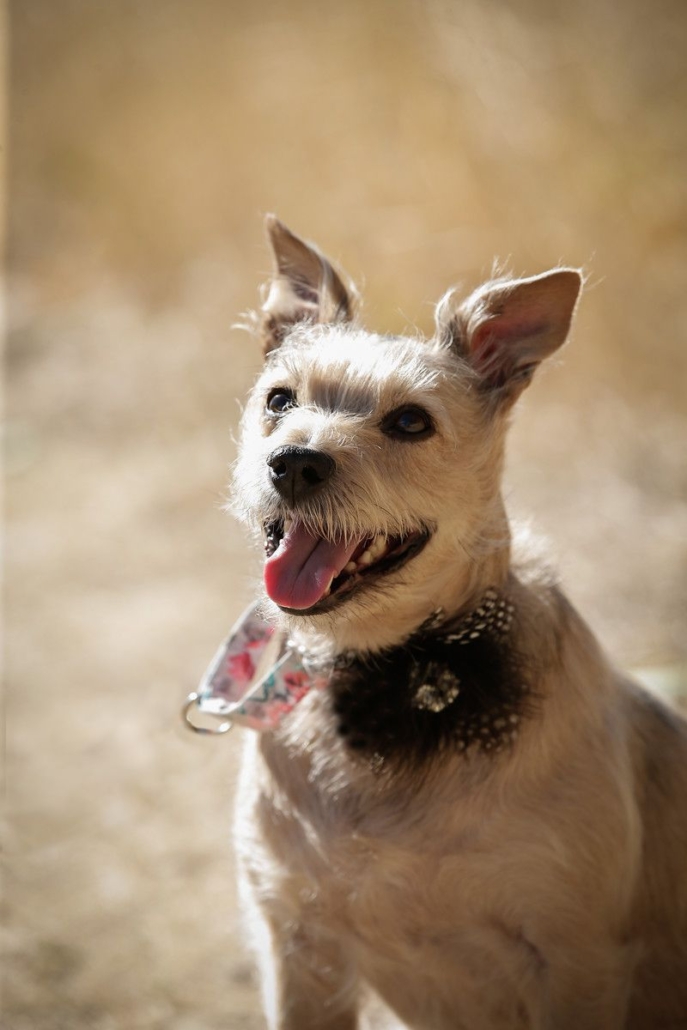 Image #1 from Paul Borger